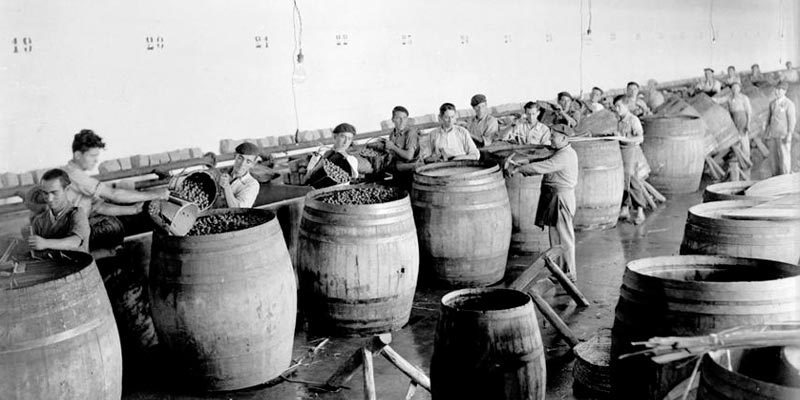 Historia-1971-Olivarera-Pontanense